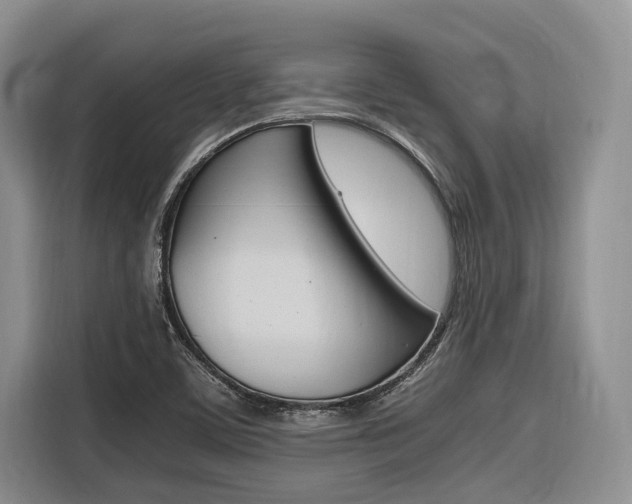 X0000116561459200912100934