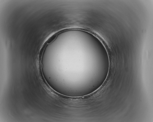 X0000116561460200912100934