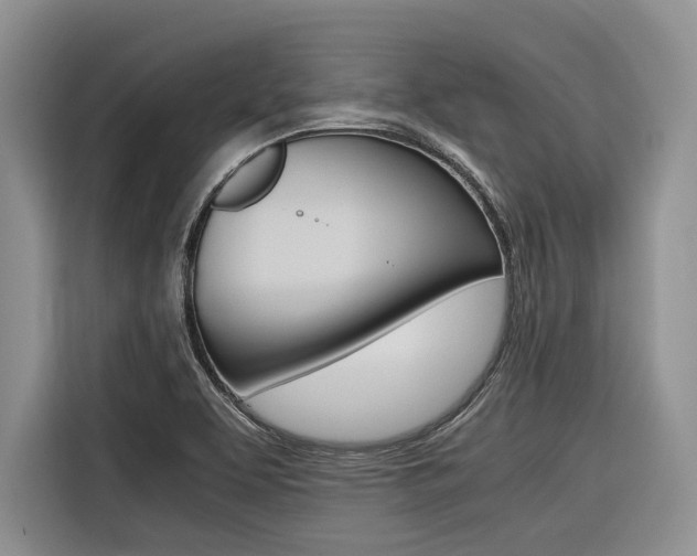 X0000116561463200912100934