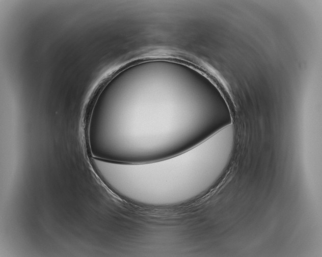 X0000116561464200912100934