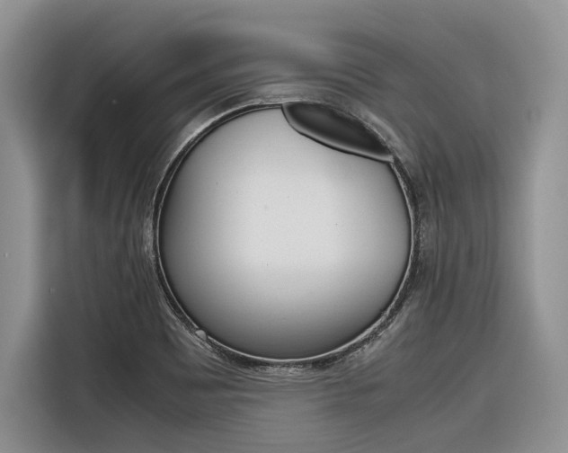 X0000116561465200912100934