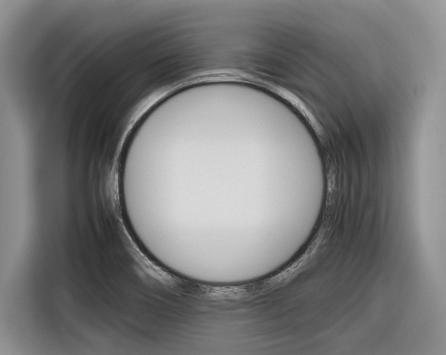 X0000116561466200912100934