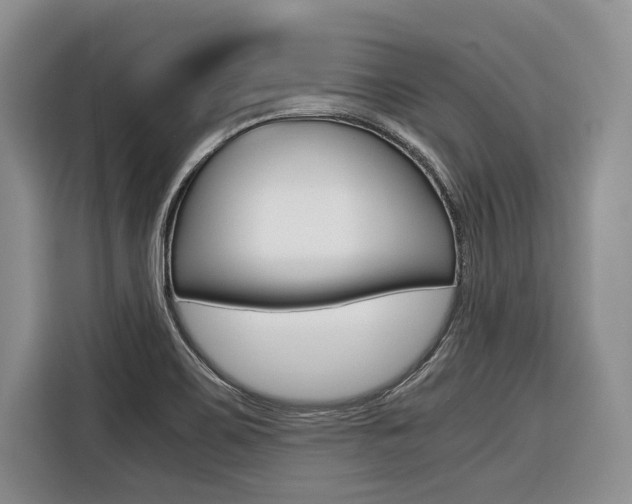 X0000116561467200912100934