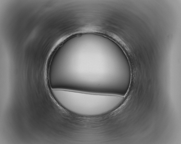 X0000116561469200912100933