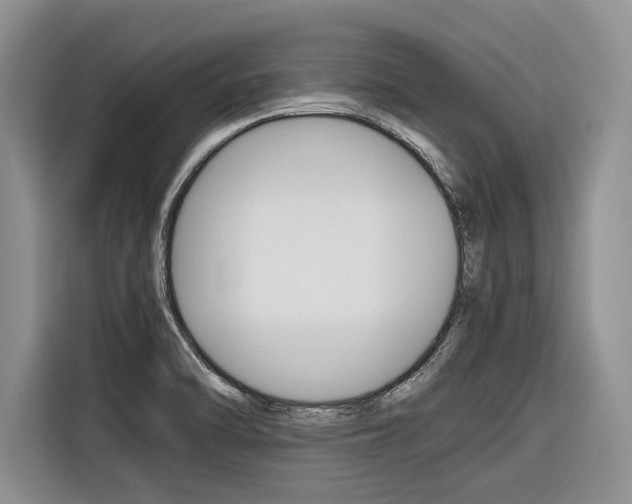 X0000116561470200912100933