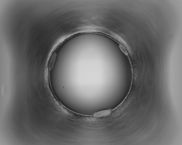 X0000116561472200912100933