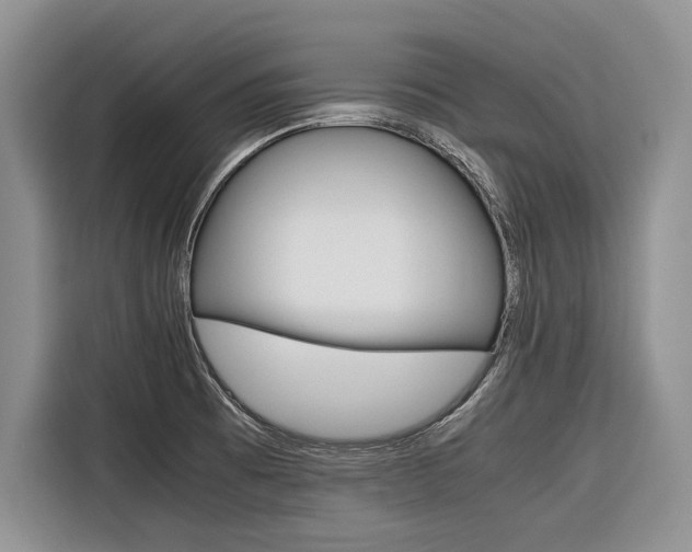 X0000116561473200912100933