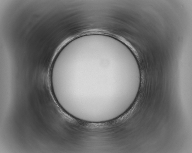 X0000116561474200912100933