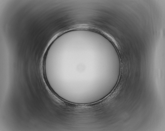 X0000116561475200912100933