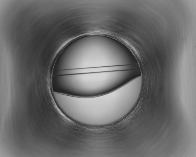 X0000116561476200912100933