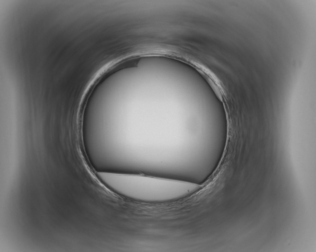 X0000116561477200912100933