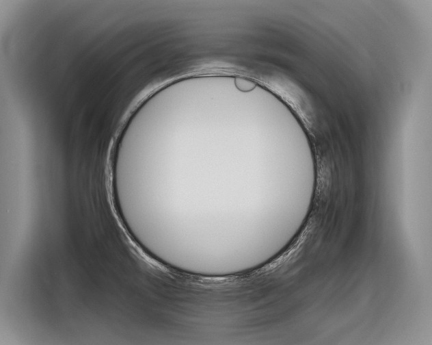 X0000116561478200912100933