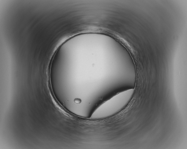 X0000116561479200912100933