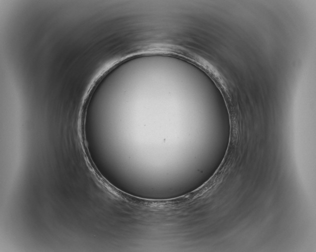 X0000116561480200912100933