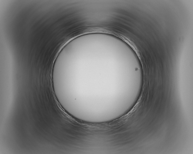 X0000116561481200912100933