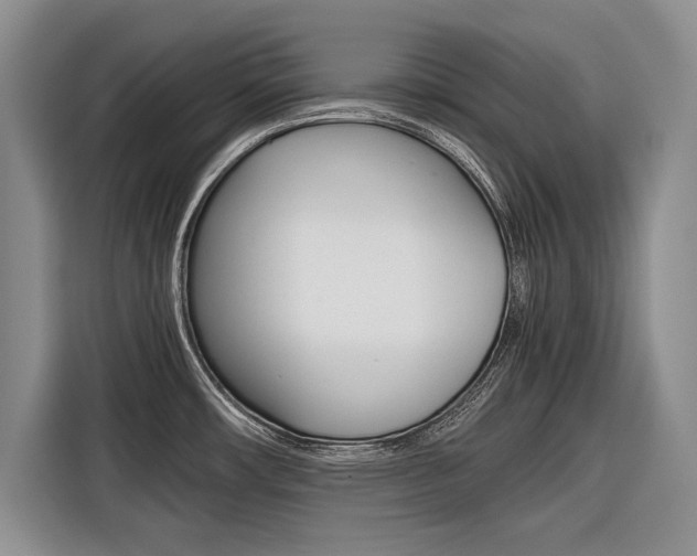 X0000116561482200912100933