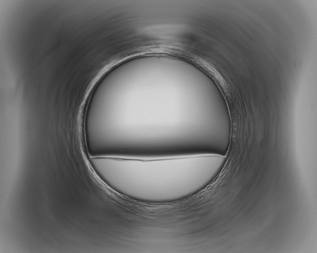 X0000116561483200912100933