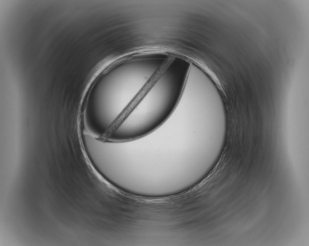 X0000116561484200912100933