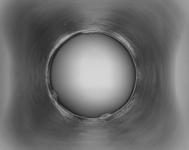 X0000116561485200912100933