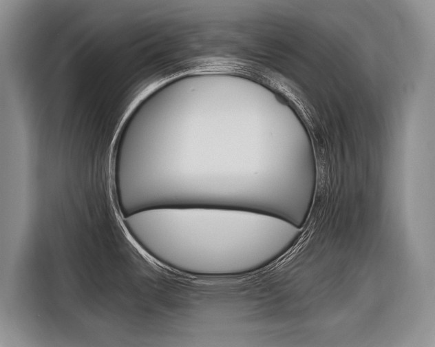 X0000116561487200912100933