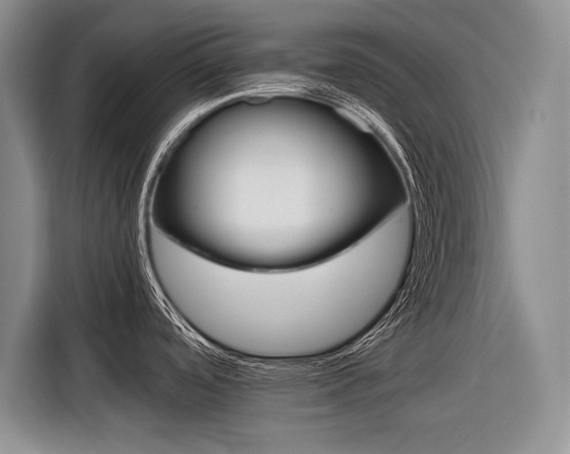 X0000116561488200912100933