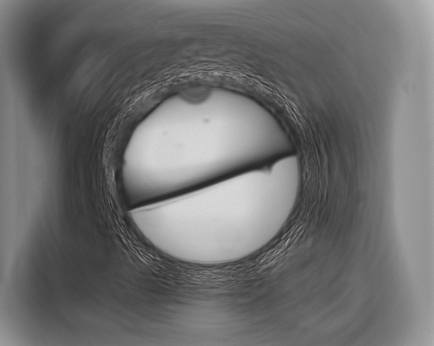 X0000116561489200912100933