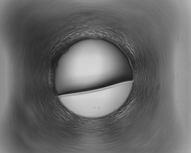 X0000116561490200912100933