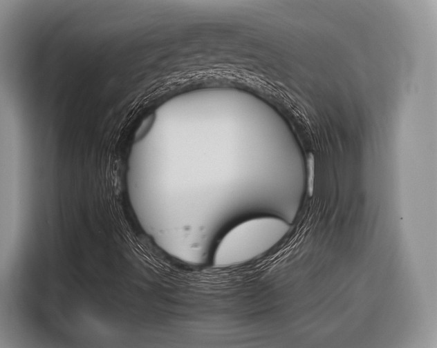 X0000116561491200912100933