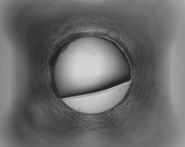 X0000116561493200912100933