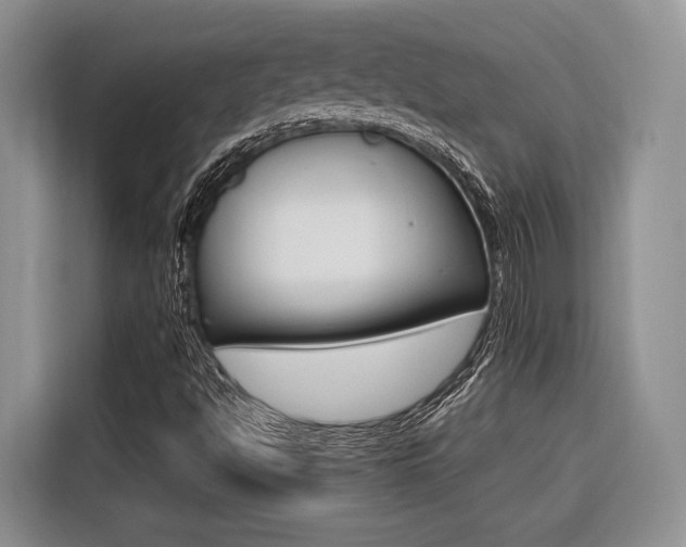 X0000116561494200912100933