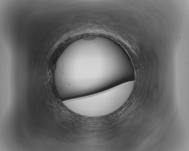 X0000116561495200912100933