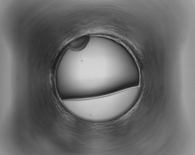 X0000116561497200912100933