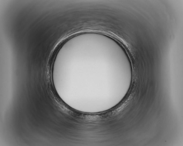 X0000116561498200912100933