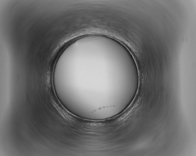 X0000116561499200912100933