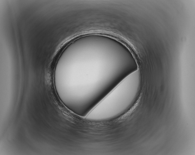 X0000116561501200912100933
