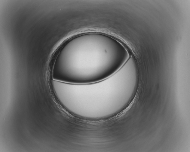 X0000116561502200912100933