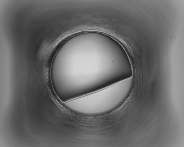 X0000116561503200912100933