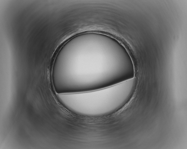 X0000116561505200912100933