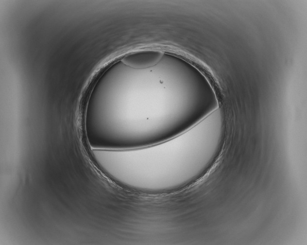 X0000116561506200912100933
