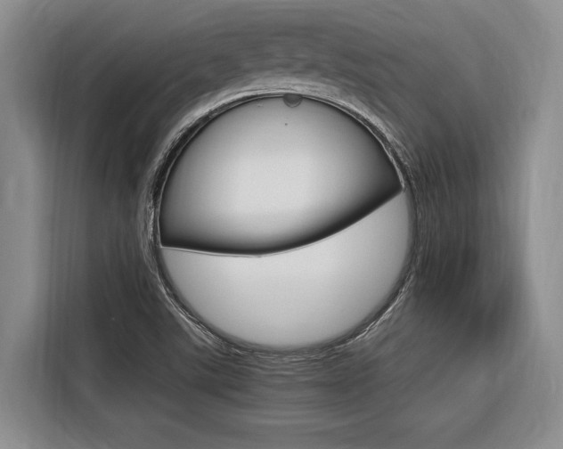 X0000116561507200912100933