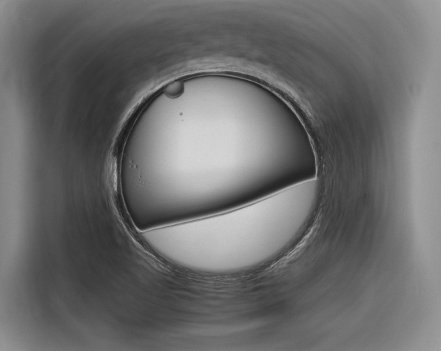 X0000116561509200912100933
