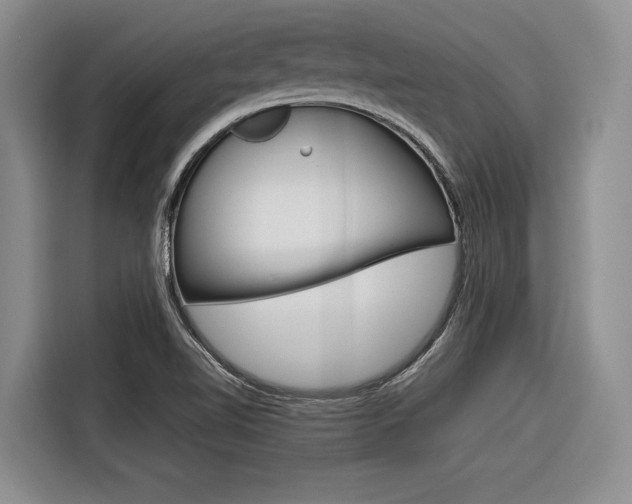 X0000116561510200912100933