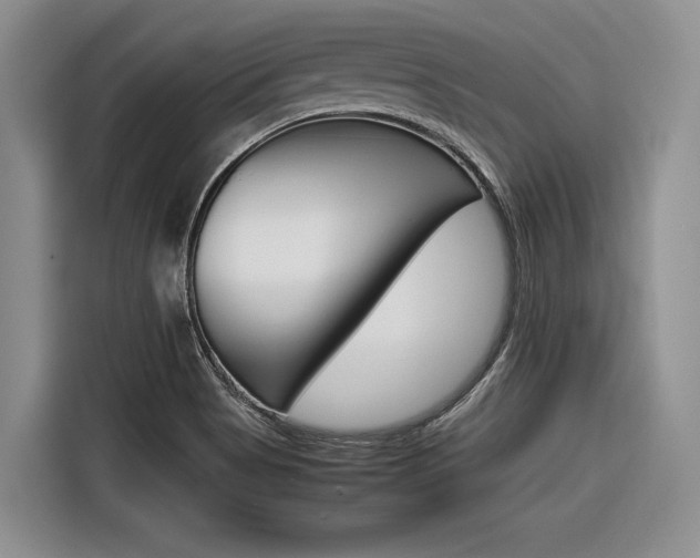 X0000116561513200912100933