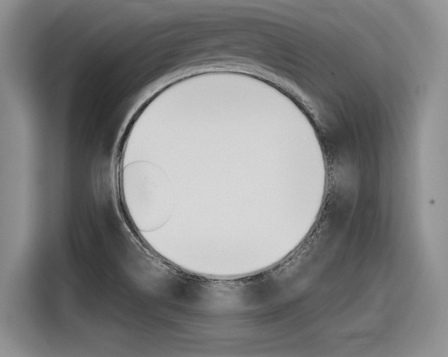 X0000116561514200912100933