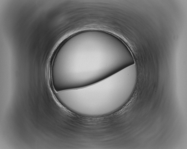 X0000116561515200912100933