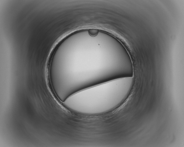 X0000116561517200912100933