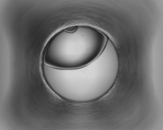 X0000116561518200912100933
