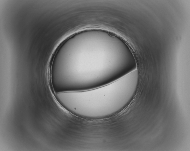 X0000116561519200912100933