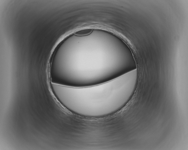 X0000116561522200912100933
