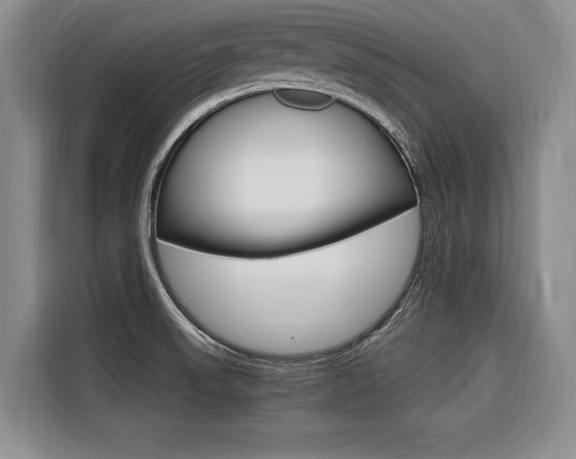 X0000116561523200912100933